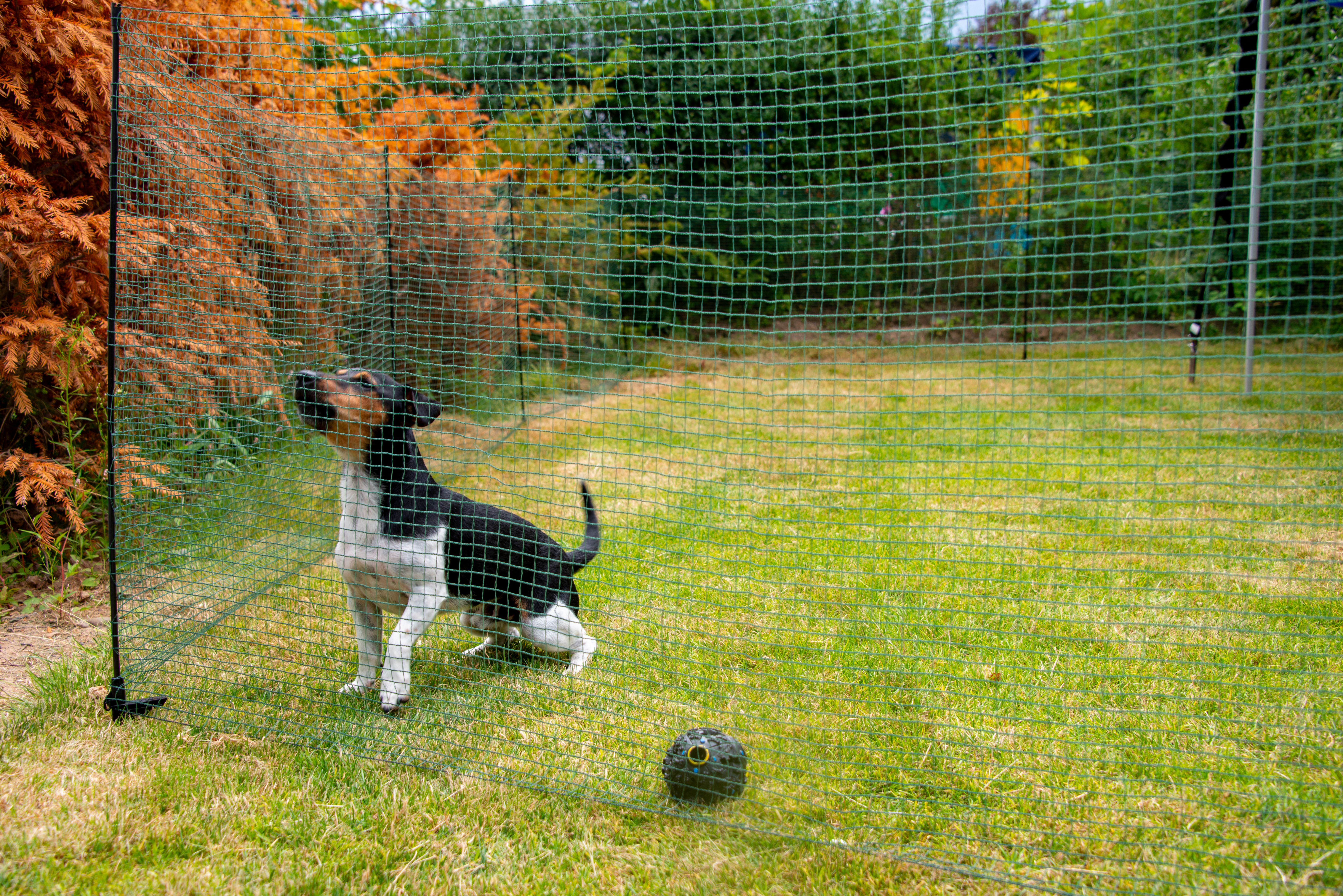 Fencing for dogs - electric of boundary fencing - for gardens, camping, caravans and puppies